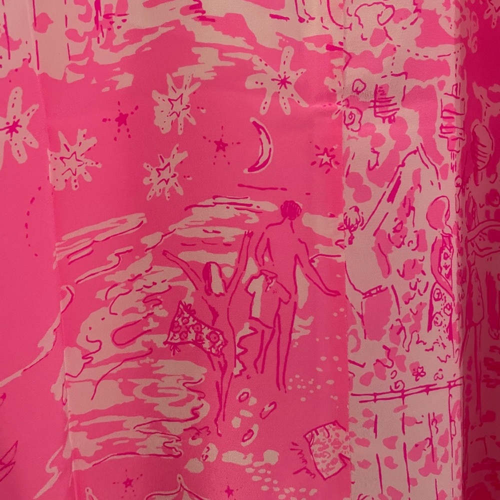 Lilly Pulitzer dress - Picture 5 of 5